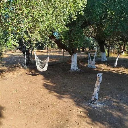 Feriehus Petrohori Before Midnight Pylos